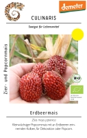 Bio-Popcornmais Erdbeermais