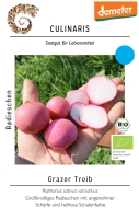 Bio-Radieschen Grazer Treib