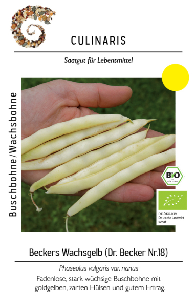 Bio-Wachsbohne Beckers Wachsgelb (Dr. Becker Nr. 18)