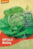 Bio-Kopfsalat Maikönig