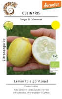 Bio-Zitronengurke Lemon