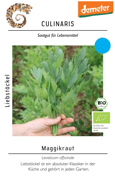 Bio-Liebstöckel, Maggikraut