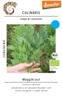 Bio-Liebstöckel, Maggikraut
