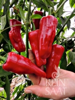 Bio-Türkische Gewürzpaprika