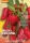 Bio-Türkische Gewürzpaprika