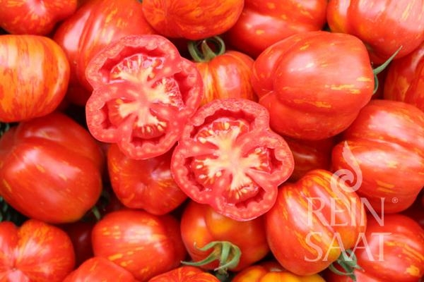 Bio-Tomate Red Cavern
