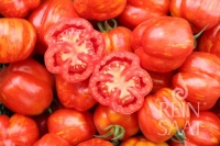 Bio-Tomate Red Cavern