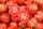 Bio-Tomate Red Cavern