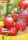 Bio-Tomate Shimmeig Creg