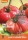 Bio-Tomate Olena Ukrainian