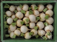 Bio-Mairübe Snowball