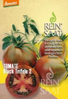 Bio-Tomate Liguria