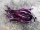Bio-Aubergine Tarim