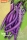 Bio-Aubergine Tarim