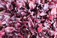 Bio-Salat Bull’s Blood