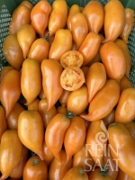 Bio-Tomate Buratino