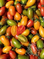 Bio-Tomate Artisan Tiger Mix
