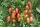 Bio-Tomate Artisan Tiger Mix