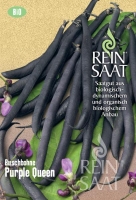 Bio-Buschbohne Purple Queen