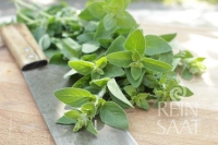 Bio-Oregano Pantokrator