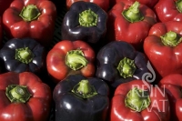 Bio-Paprika Violetta