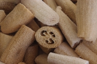 Bio-Schwammgurke Luffa