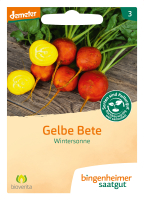 Bio-Gelbe Beete Wintersonne