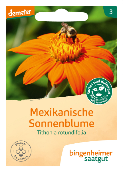 Bio-Mexikanische Sonnenblume ca.175cm