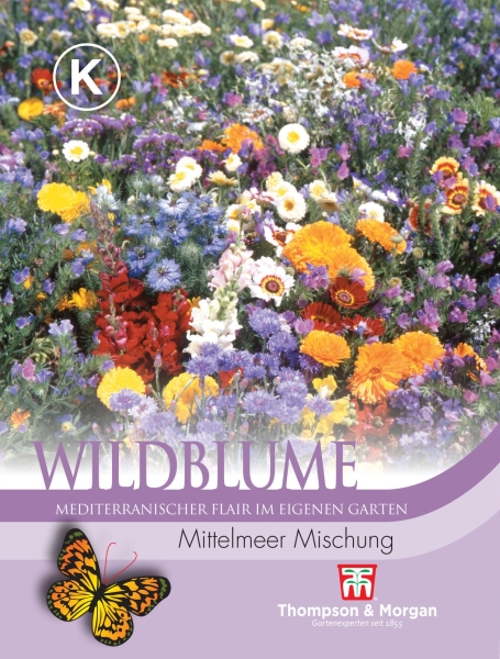Wildblume Mittelmeer Mischung