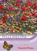 Wildblume Nützlings-Mischung
