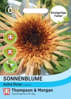 Sonnenblume Astra Rose ca.100cm