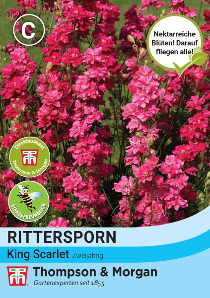 Rittersporn King Scarlet