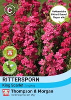 Rittersporn King Scarlet