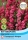 Rittersporn King Scarlet