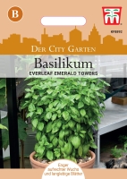 Basilikum Everleaf Emerald Towers