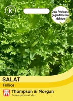 Salat Frillice