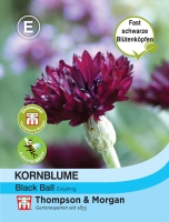 Kornblume Black Ball