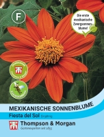 Mexikanische Sonnenblume Fiesta del Sol ca.75cm