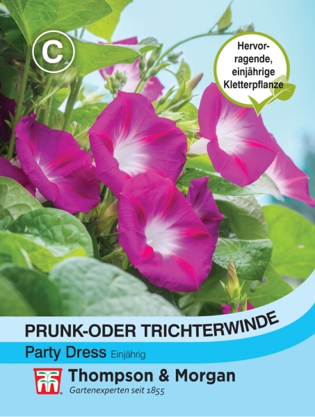 Prunk- oder Trichterwinde Party Dress