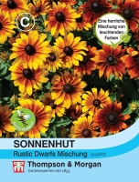 Sonnenhut Rustic Dwarfs Mischung