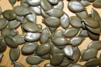Bio-Kürbis Gleisdorfer Ölkürbis