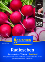 Radieschensamen Riesenbutter/Vitessa Saatband