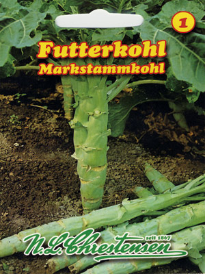 Futterkohl Markstammkohl