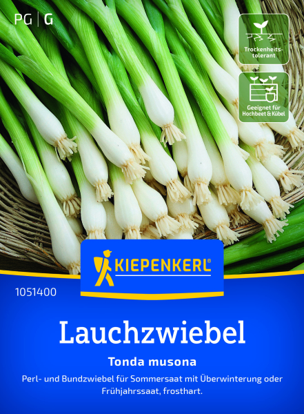 Lauchzwiebelsamen Tonda musona