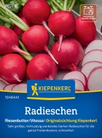 Radieschensamen Riesenbutter/Vitessa