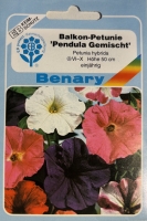 Balkonpetunie Pendula Gemischt