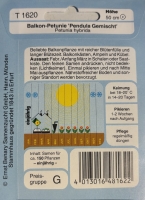 Balkonpetunie Pendula Gemischt