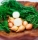 Steckzwiebel Cupido F1 1kg (2x500g)