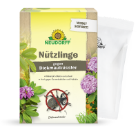 Bestell- Karte Nützlinge gegen Dickmaulüssler,...
