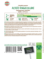 Acker-Ringelblume Frühlingssonne